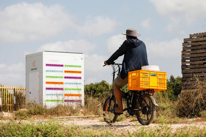 A man cycles next to a robotic beehive, developed by