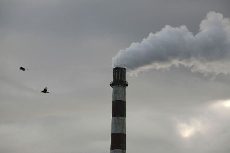 Smoke billows from a chimney at a thermal power plant