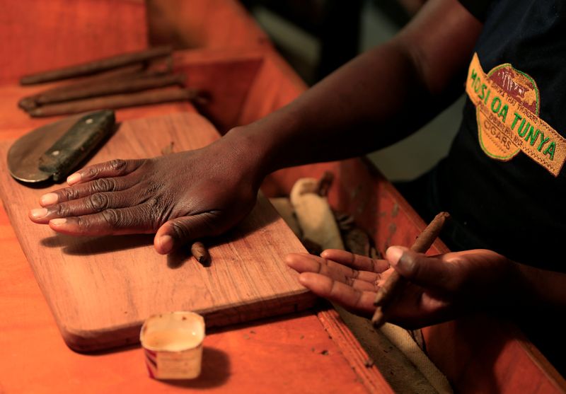 A worker  hand rolls cigars at  the premises