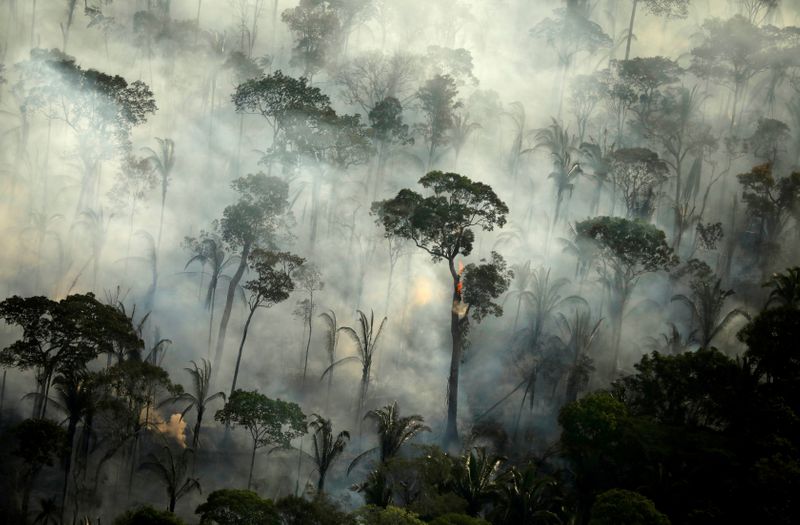 FILE PHOTO: Fires in the Amazon: a barrier to climate