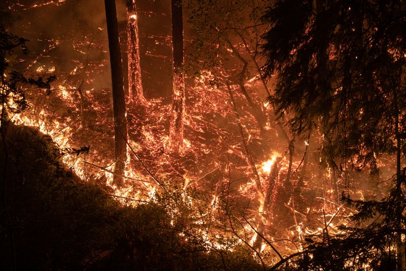 The Glass Fire burns along a hillside in Calistoga, CaliforniA