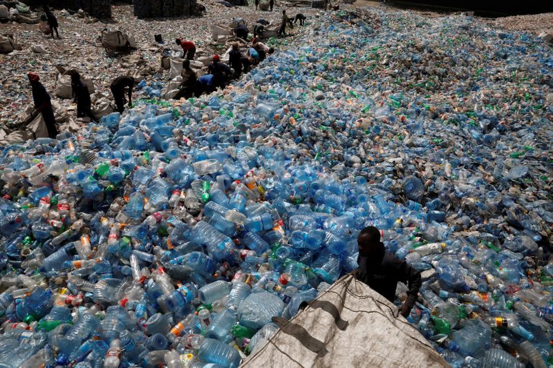 FILE PHOTO: Employees sort plastic bottles at the Weeco plastic