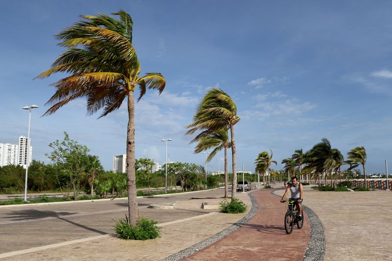 FILE PHOTO: A man rides his bicycle while palm trees