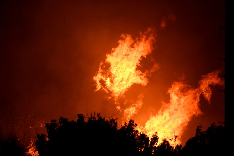 FILE PHOTO: Wildfire in California burns through the night north