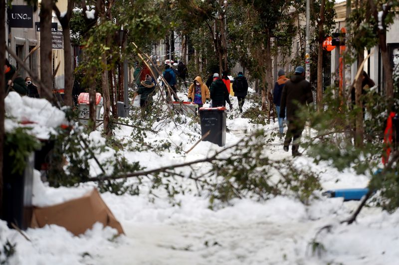 People walk through the snow and among fallen branches in