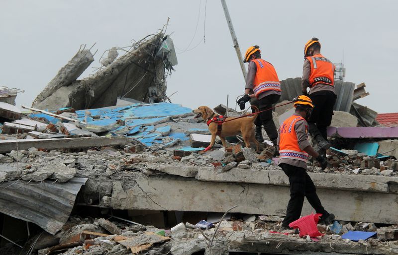 Police with sniffer dog inspect collapsed hospital building following earthquake