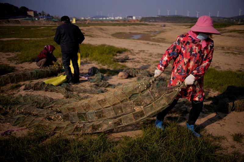 FILE PHOTO: Fishermen recycle shrimp nets on the dried lake