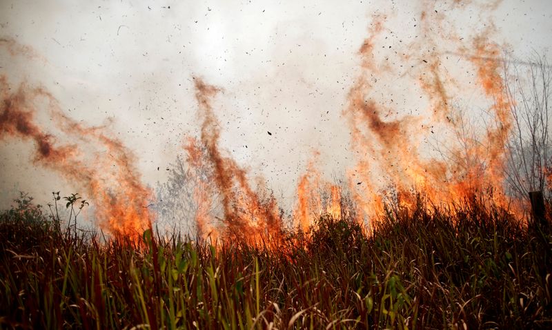 FILE PHOTO: Tract of the Amazon jungle burns as it