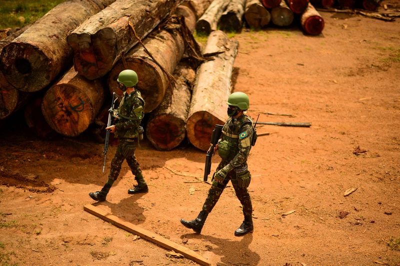 Brazil’s military fails to halt Amazon deforestation