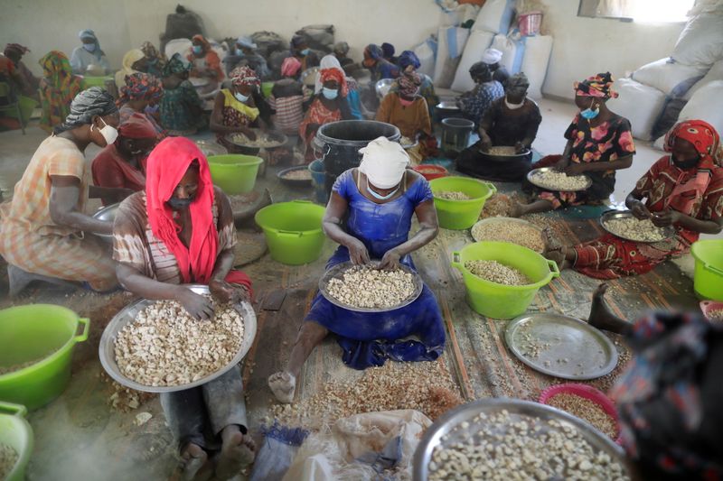 Local women process baobab fruit pulp into powder at a