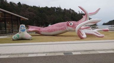 Social media video grab of a giant squid statue built