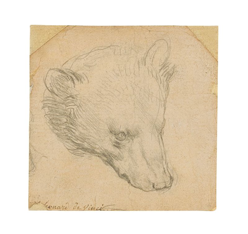 Leonardo da Vinci’s “Head of a bear” drawing