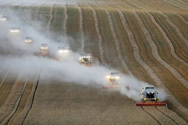 FILE PHOTO: Combines harvest wheat in a field in Stavropol