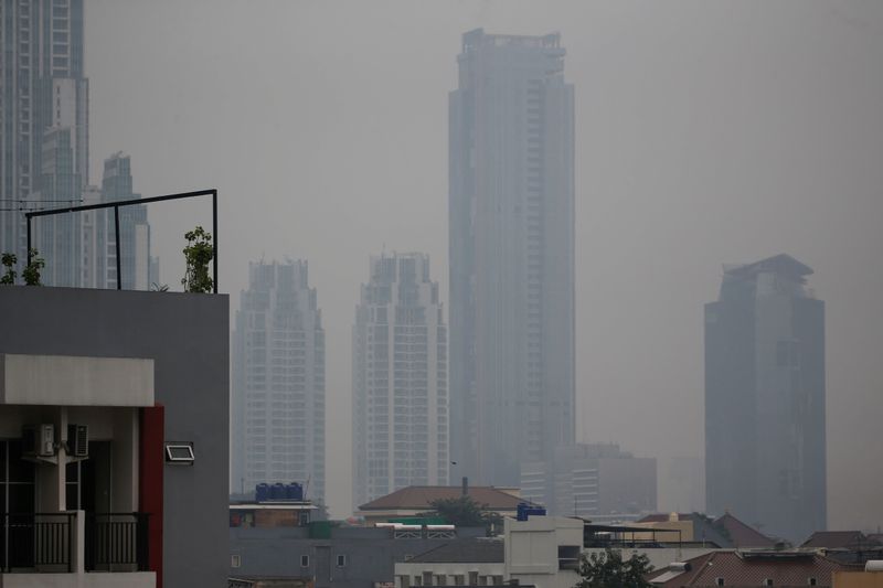 FILE PHOTO: Plants are seen on a rooftop as smog