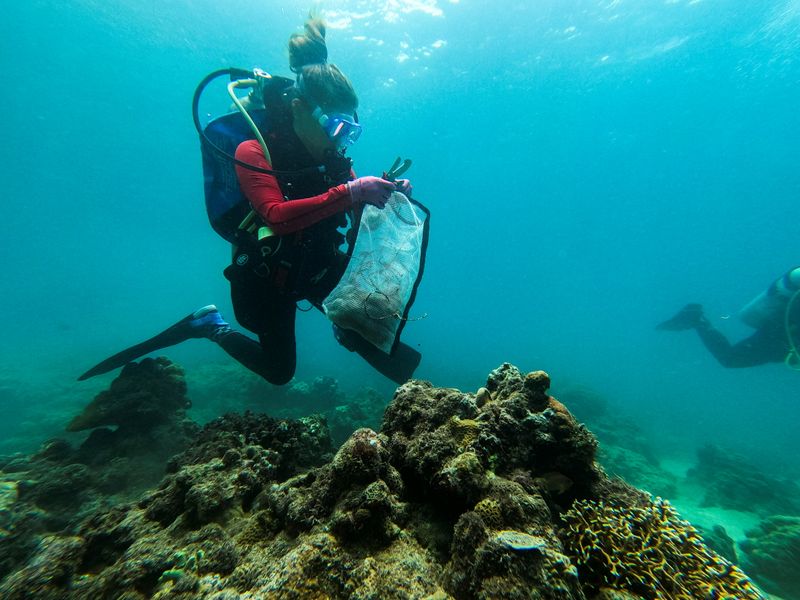 Divers participate in an underwater cleanup drive on World Cleanup