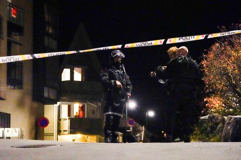Man kills several people in Norway in bow and arrow
