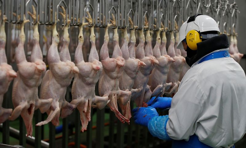 A worker processes chickens on the production line at the