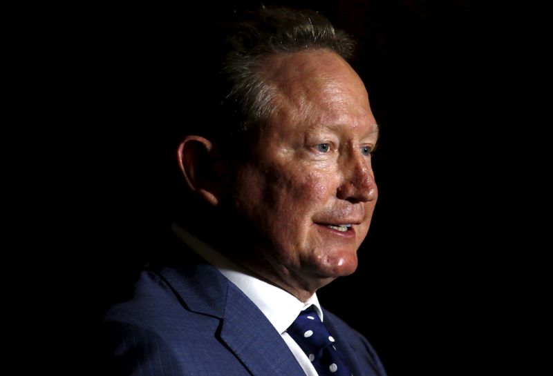 FILE PHOTO: Andrew Forrest, chairman of Fortescue Metals Group, speaks