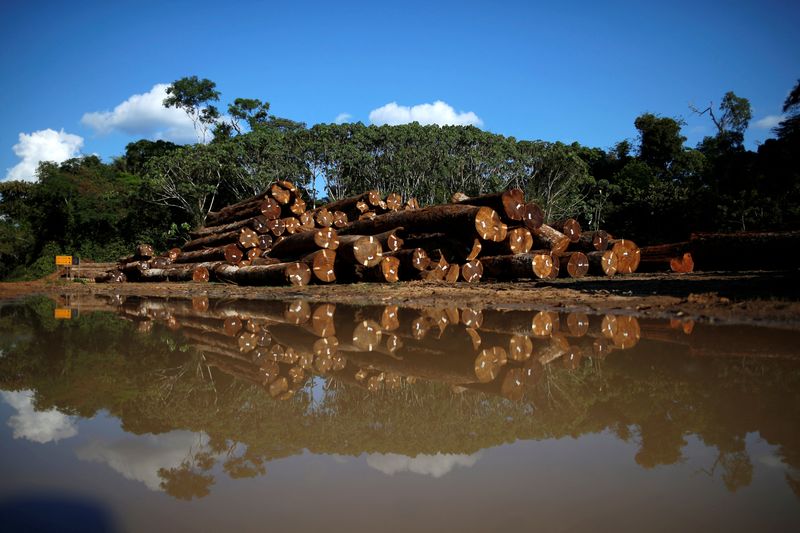 Piles of legal wood are seen in a wood company