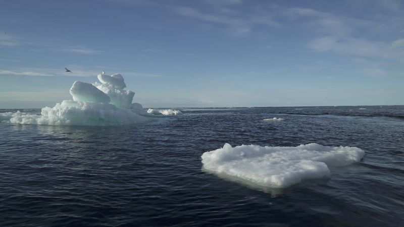 FILE PHOTO: Floating ice is seen during the expedition of