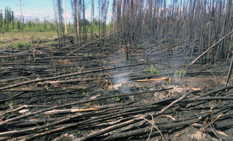 Overwintering ‘zombie’ fires may threaten more boreal burns
