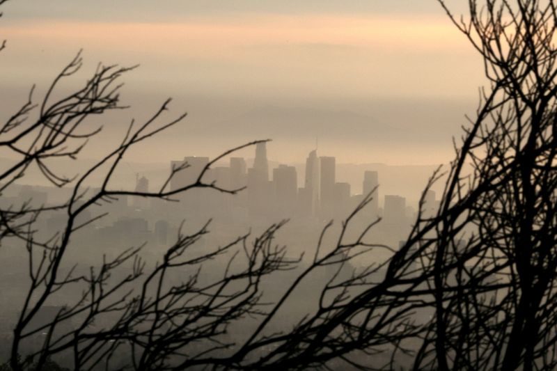 FILE PHOTO: Downtown Los Angeles is seen behind a tree