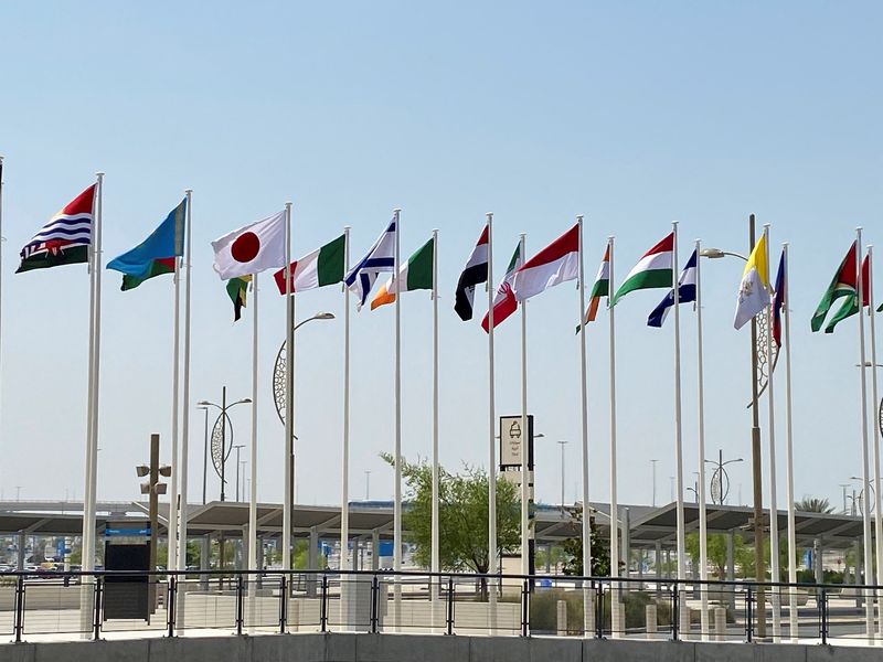FILE PHOTO: Flags of countries participating in Expo 2020 Dubai