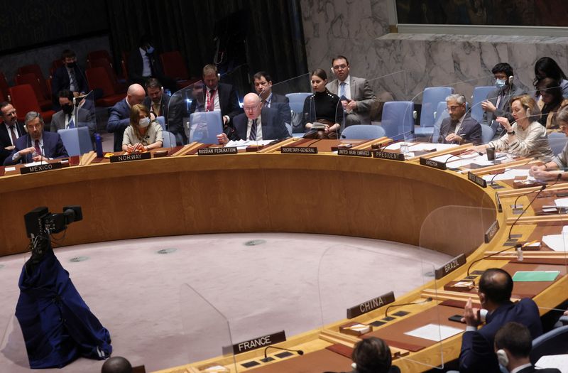 FILE PHOTO: United Nations Security Council meeting, in New York