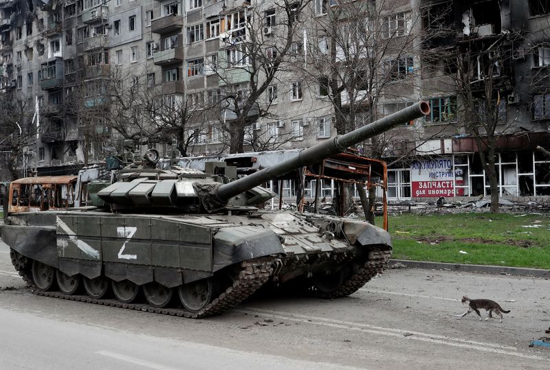 A cat walks next to a tank of pro-Russian troops