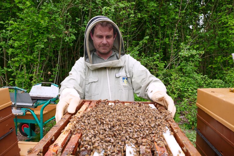 Warm spring brings bumper harvest to French beekeepers outside Paris