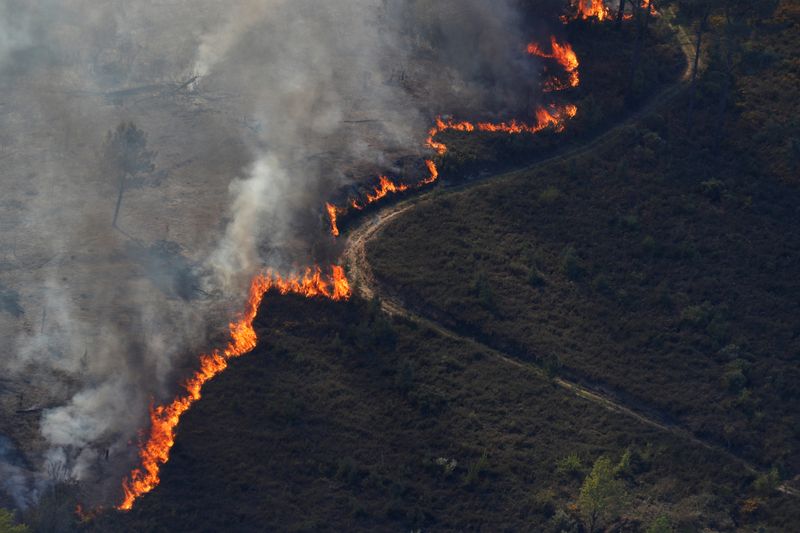FILE PHOTO:  Flames of an approaching forest fire are