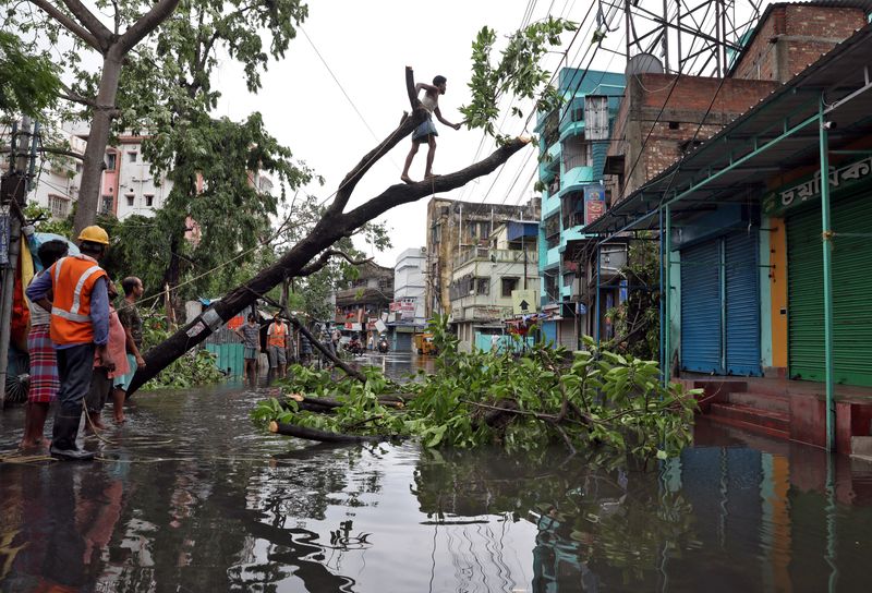A man cuts branches of an uprooted tree after Cyclone