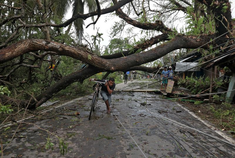 A man walks with his bicycle under an uprooted tree