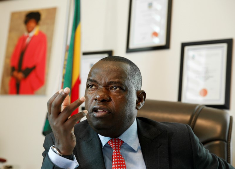 FILE PHOTO: Minister of Foreign Affairs Sibusiso Moyo speaks to