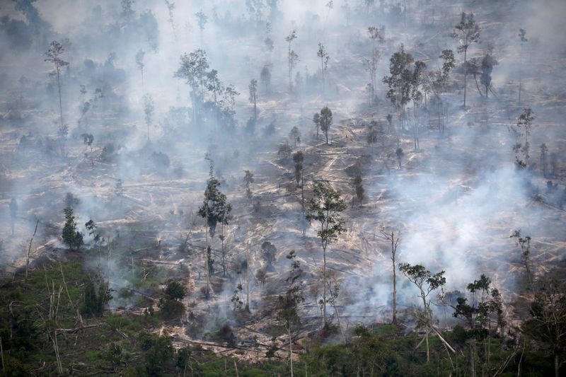 FILE PHOTO: Smoke covers forest during fires in Kapuas regency
