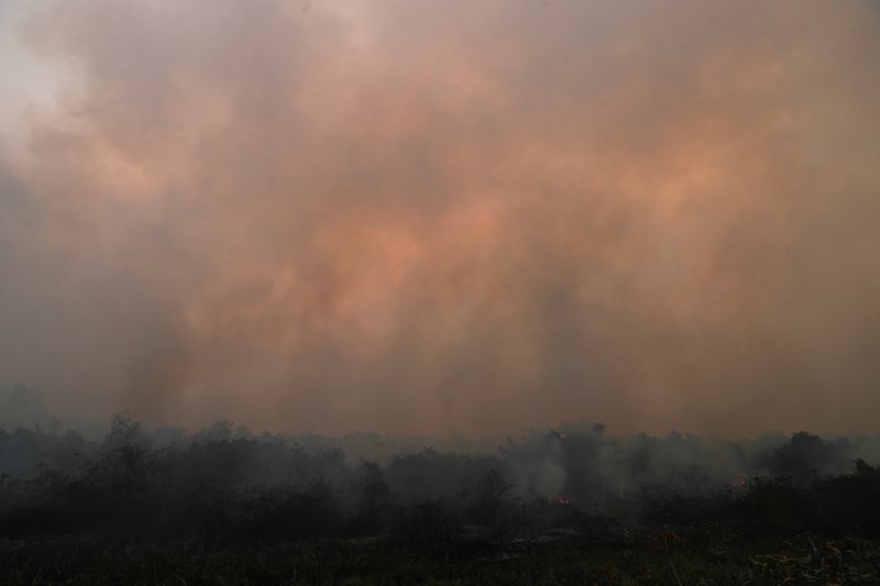 Smoke rises from a fire in The Pantanal, the world’s