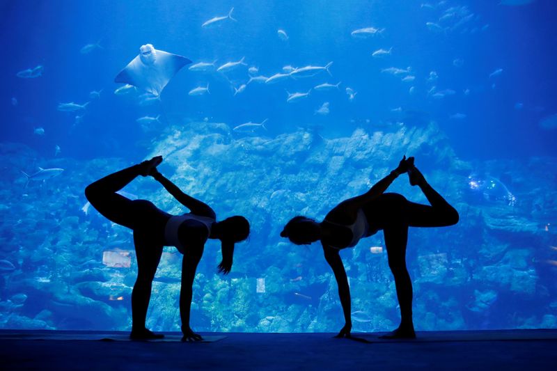 People take part in a yoga class at Ocean Park’s
