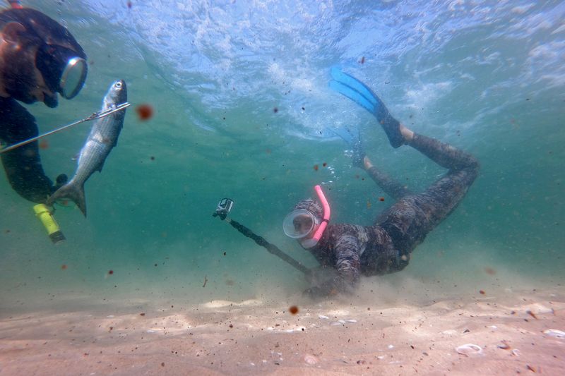 Spearfishing in Gaza, improvising a living under the sea