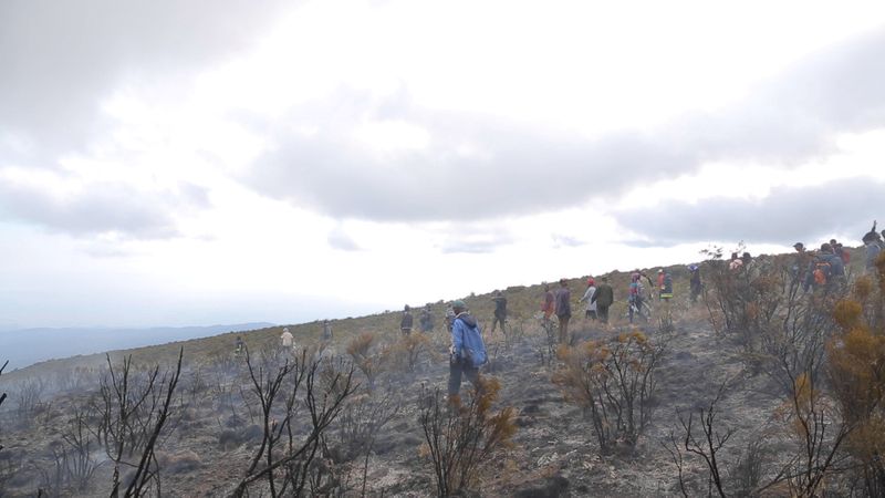 A fire spreads on Mt Kilimanjaro