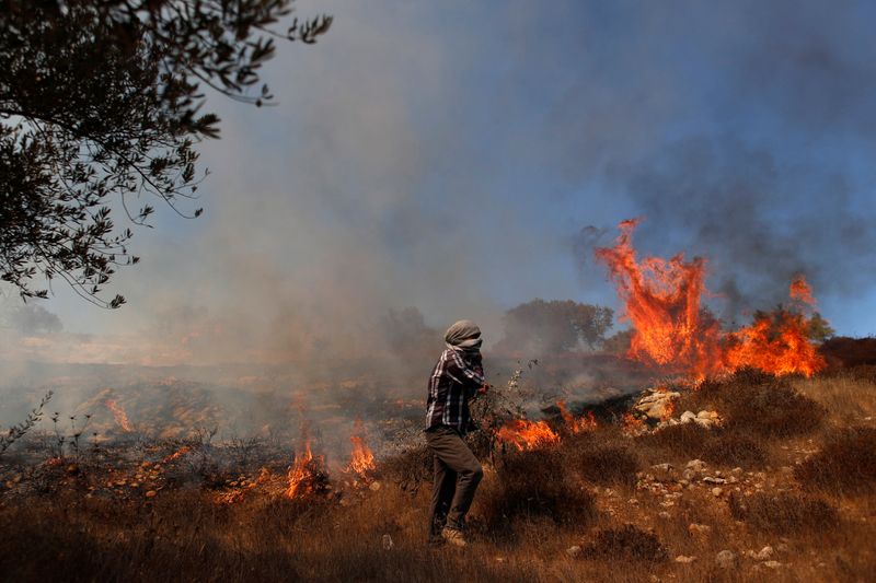 Grass burns in an olive field after Israeli forces fired