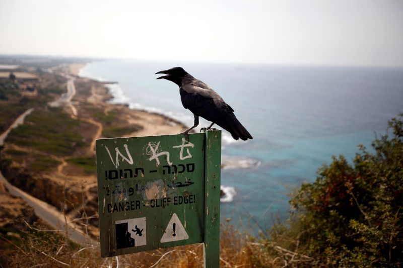 A crow perches on a sign post as the coastline