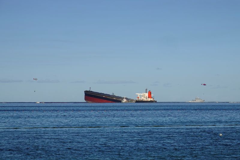 FILE PHOTO: A general view shows the bulk carrier ship