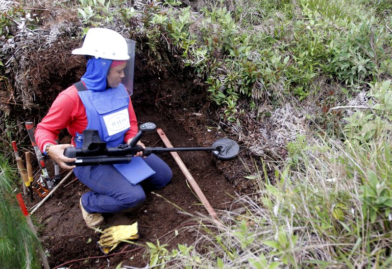 FILE PHOTO: Aleida Toro works with her mine detector in