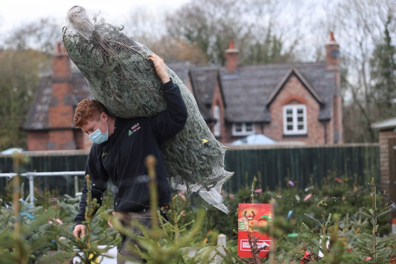 People visit a Christmas Tree Farm in Keele, Staffordshire