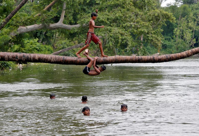 A boy prepares to jump from a fallen coconut tree