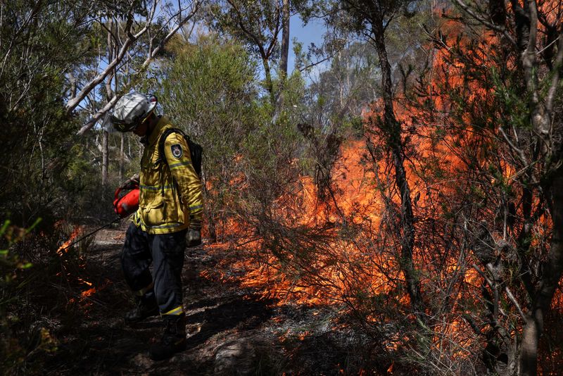 NSW RFS personnel conduct a controlled burn to eliminate fuels