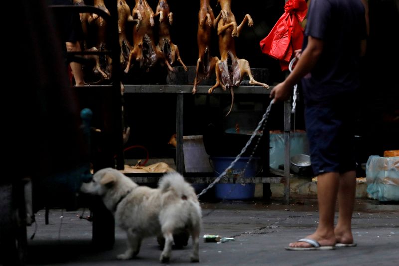 FILE PHOTO: A man walks with his pet dog as