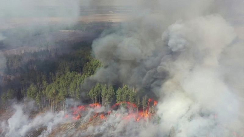 An aerial view shows a forest fire in the exclusion