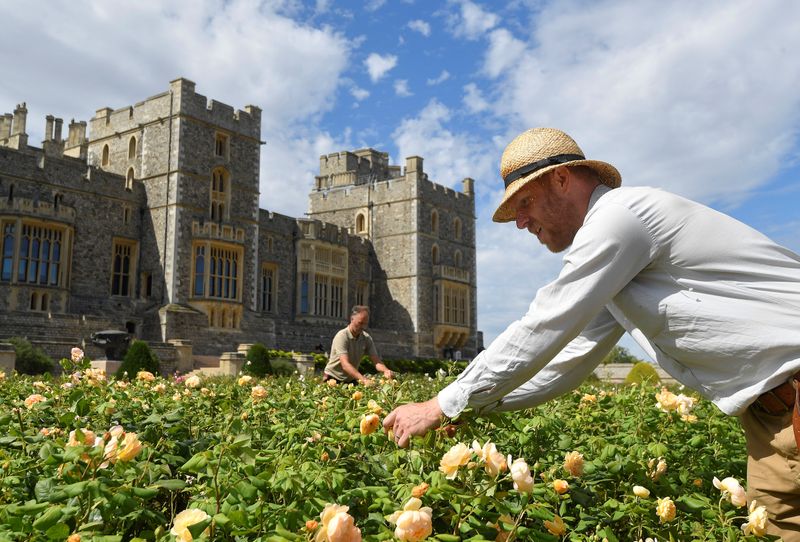 Opening of the East Terrace Garden at Windsor Castle the