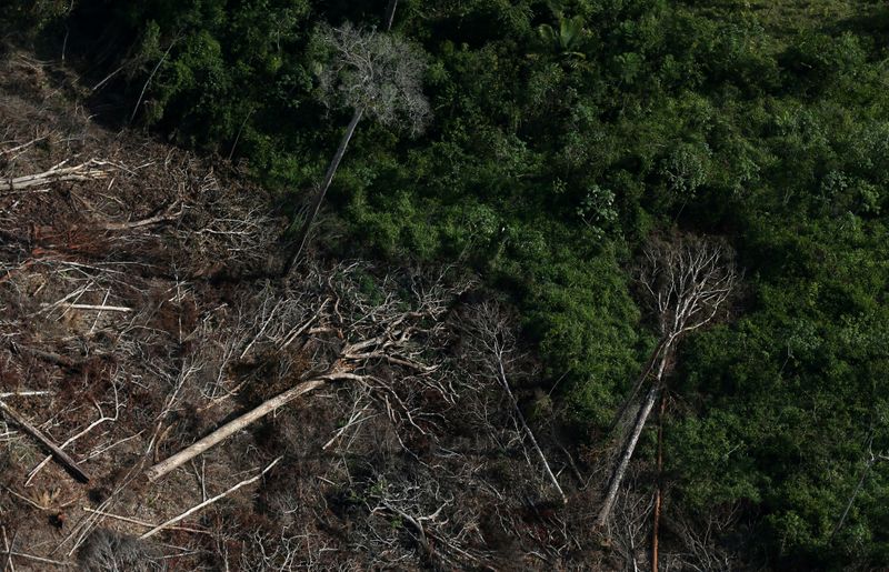 FILE PHOTO: An aerial view of a tract of Amazon